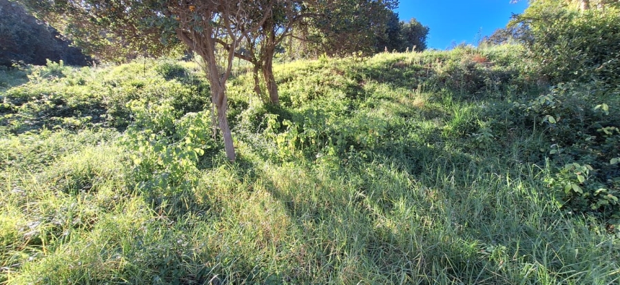 0 Bedroom Property for Sale in Glentana Western Cape